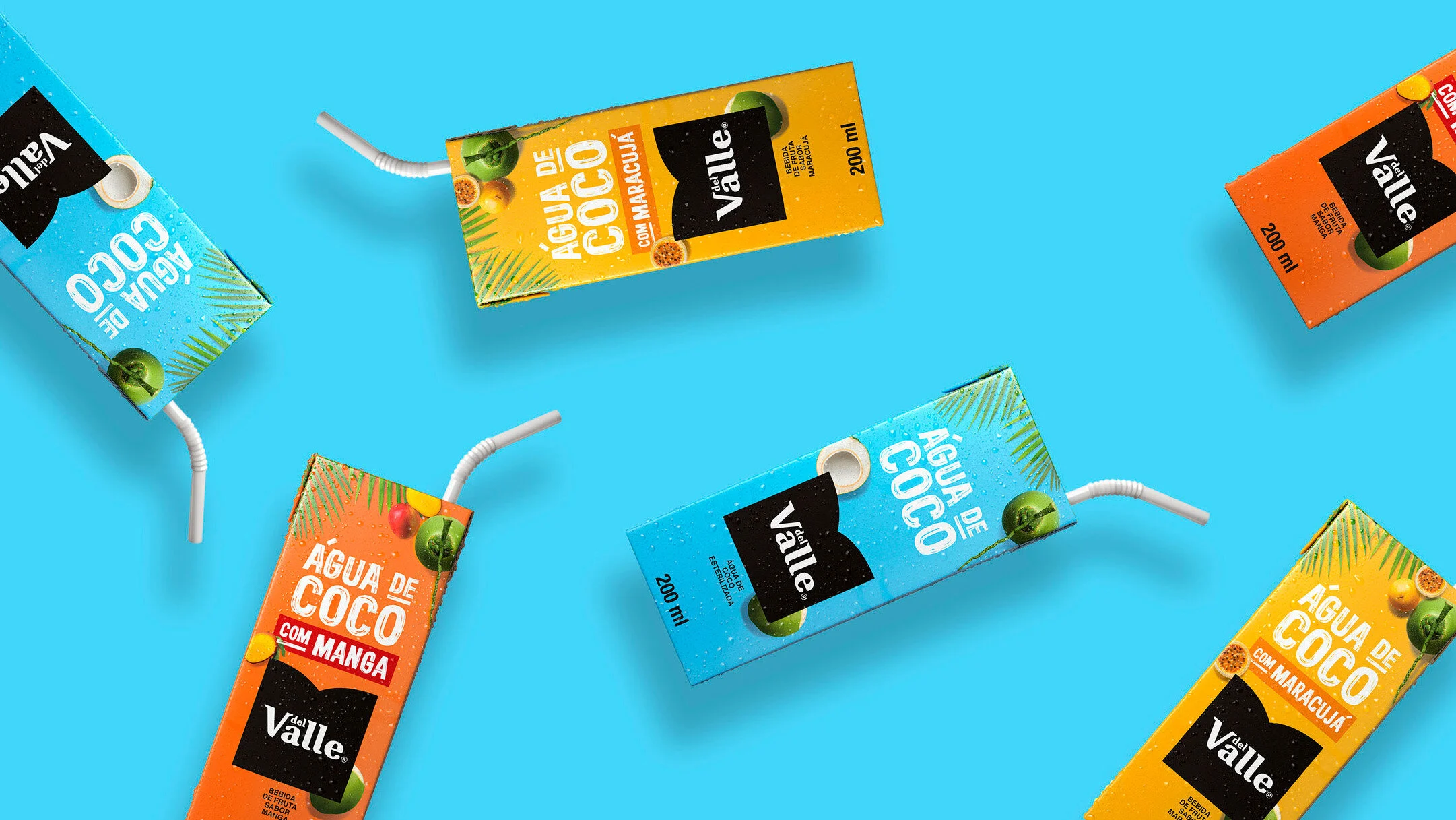 A fresh new look for Del Valle Packaging — 1