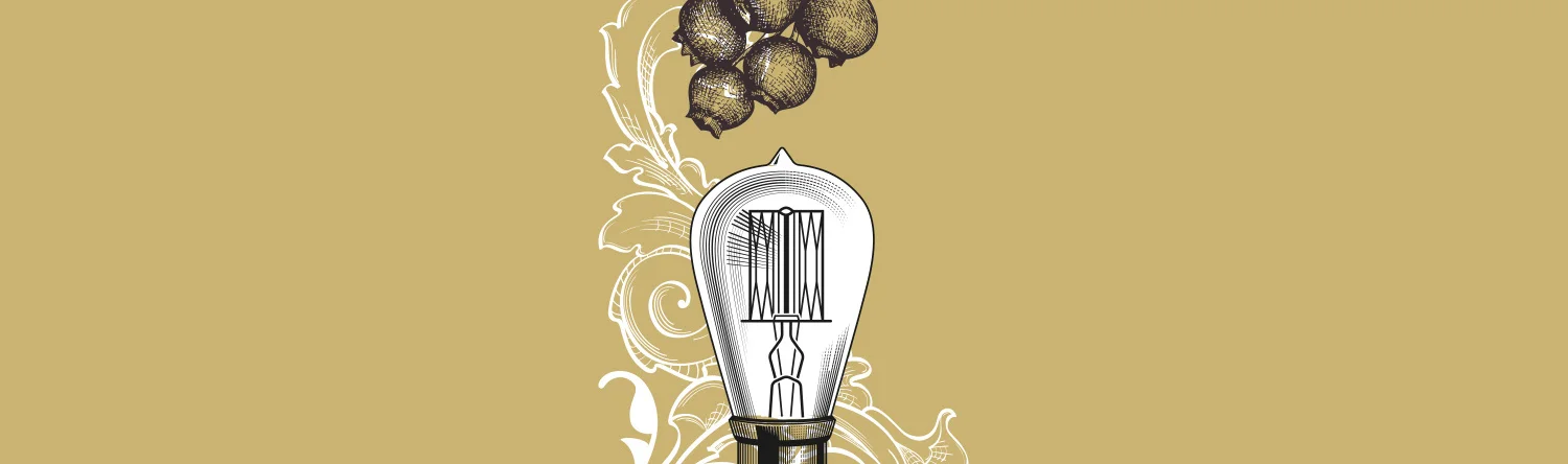 Schweppes — 5